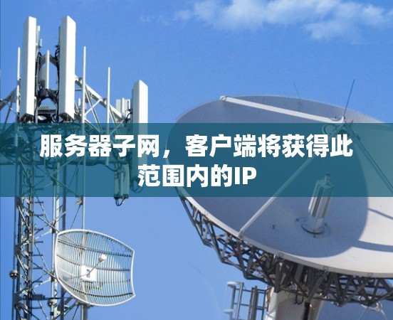 服务器子网,客户端将获得此范围内的IP