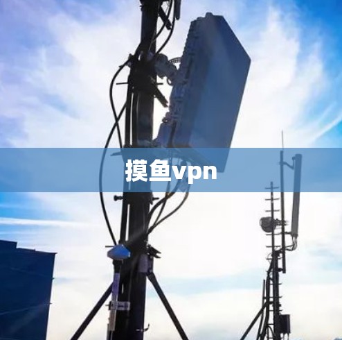 摸鱼vpn